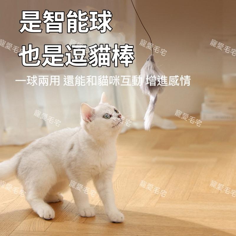 寵愛毛宅 自動逗貓球 逗貓球 逗貓老鼠 電動貓玩具 貓玩具 逗貓 逗貓玩具 自動逗貓 逗貓神器 貓玩具球 貓球 貓咪球-細節圖4