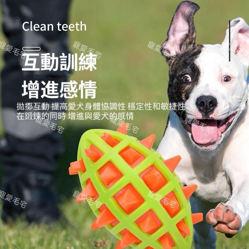 寵愛毛宅 寵物玩具 狗狗玩具 狗狗發聲玩具 耐咬磨牙玩具 潔齒玩具 解悶玩具 耐咬解壓 咬不爛玩具-細節圖4
