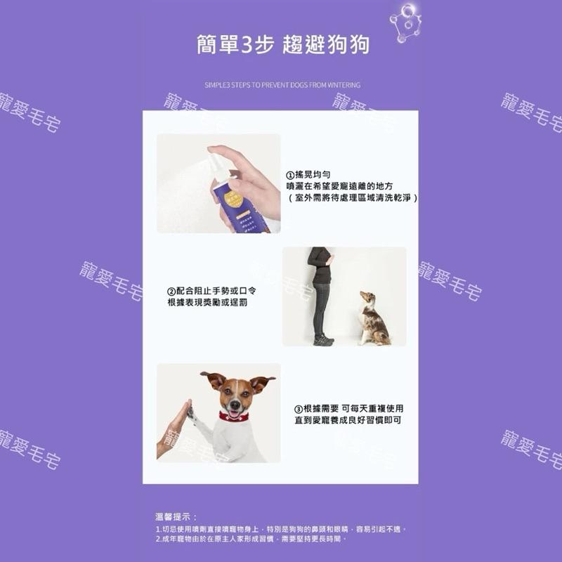 寵愛買宅 寵物禁區噴劑 驅貓噴霧 驅趕誘導噴劑 驅貓噴霧劑 防狗尿貓尿噴劑 寵物禁區 長效作用120ml-細節圖6