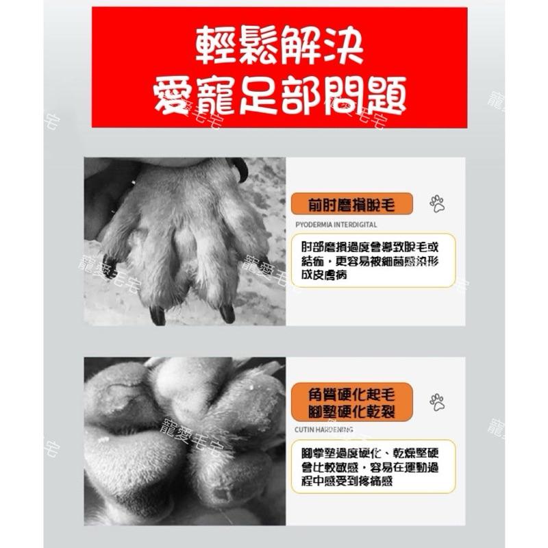 寵愛毛宅 日本KOJIMA 寵物專用護足膏 狗狗貓咪 護爪膏 爪子防乾裂 腳底潤足 腳墊 腳掌 肉墊護理 潤足霜 護腳膏-細節圖2