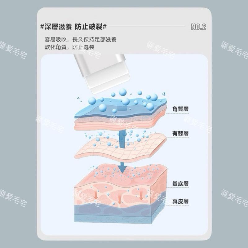 寵愛毛宅 日本KOJIMA 寵物專用護足膏 狗狗貓咪 護爪膏 爪子防乾裂 腳底潤足 腳墊 腳掌 肉墊護理 潤足霜 護腳膏-細節圖3