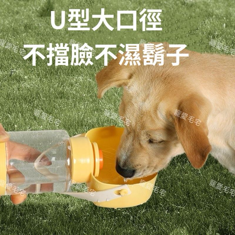 寵物毛宅 寵物水杯 貓咪戶外水壺 狗狗戶外水壺 貓咪外出壺 狗狗外出壺 寵物隨行杯 寵物喂食 喂水杯 水糧一體杯-細節圖2