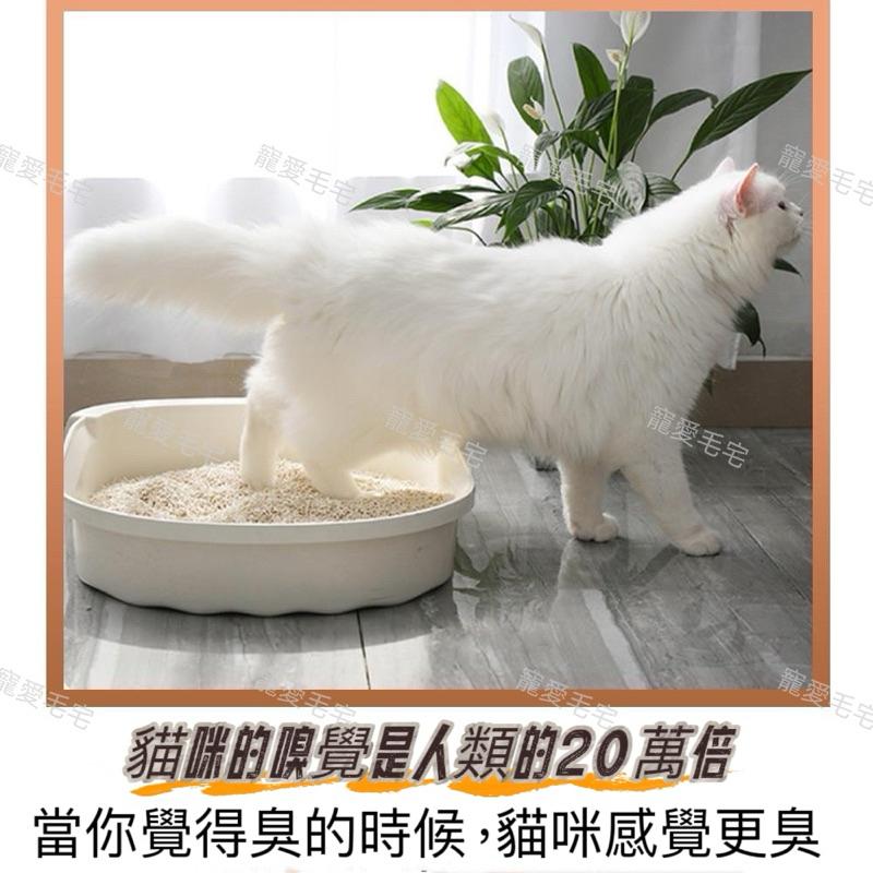 寵愛毛宅 貓砂除臭珠 活性碳除臭珠 活性碳除臭 貓砂消臭 去味 貓砂除臭 除臭晶體 消臭珠 貓砂盆除臭 除臭-細節圖7