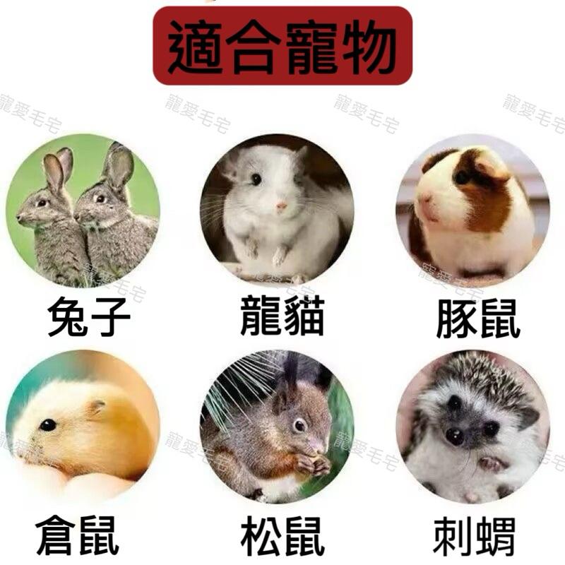 寵愛毛宅 真空水壺 倉鼠水壺 真空玻璃管水瓶 真空飲水器 小動物飲水器 小寵水瓶 小寵飲水器 倉鼠飲水器-細節圖5