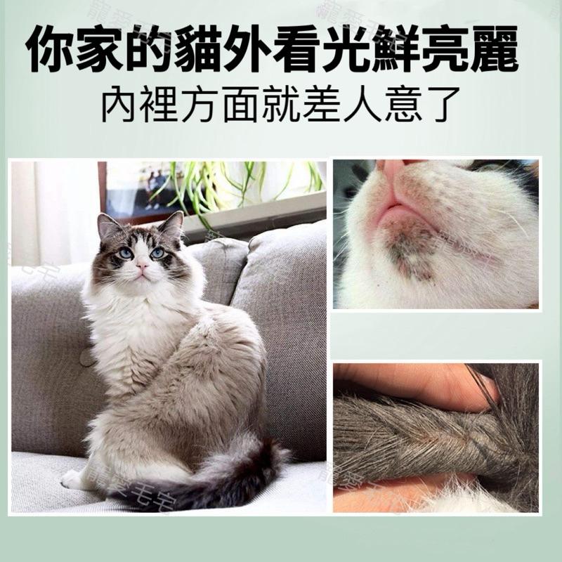 台灣寄出 貓咪去黑下巴 油尾巴去油膏 貓咪毛髮皮膚化油膏 貓咪去黑去油毛髮護理 寵物去油 寵物毛髮保濕 寵物去黑-細節圖2