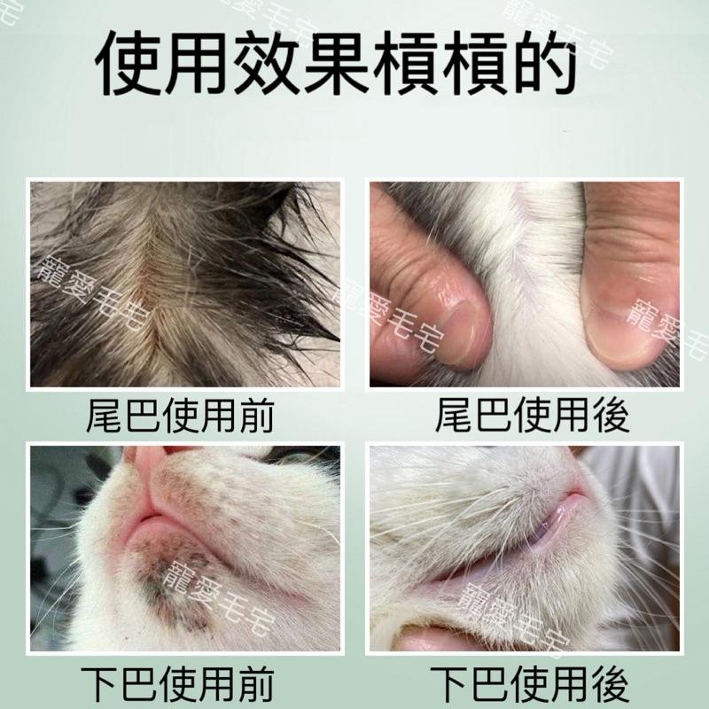 台灣寄出 貓咪去黑下巴 油尾巴去油膏 貓咪毛髮皮膚化油膏 貓咪去黑去油毛髮護理 寵物去油 寵物毛髮保濕 寵物去黑-細節圖4