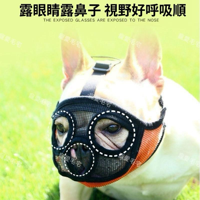 寵愛毛宅 法鬥嘴套 防咬套 鬥牛犬 惡霸犬 巴哥 面罩 寵物嘴套 短鼻狗專用 狗狗嘴套 寵物用品 短鼻狗嘴套-細節圖3
