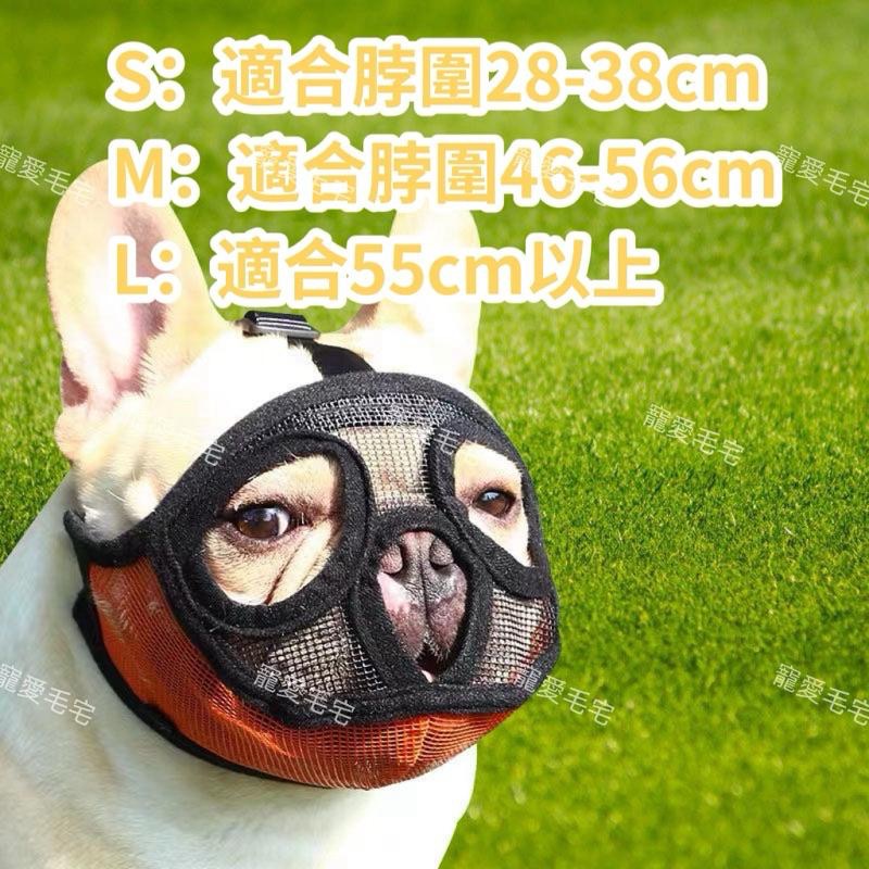 寵愛毛宅 法鬥嘴套 防咬套 鬥牛犬 惡霸犬 巴哥 面罩 寵物嘴套 短鼻狗專用 狗狗嘴套 寵物用品 短鼻狗嘴套-細節圖7