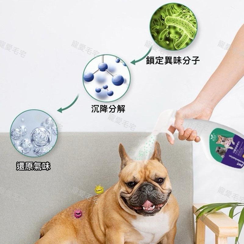 寵愛毛宅 寵物除臭噴霧 貓除臭噴霧 寵物除臭 貓尿除臭 貓除臭 寵物除臭劑 貓咪除臭 狗用除臭 狗狗除臭 貓砂除臭-細節圖3