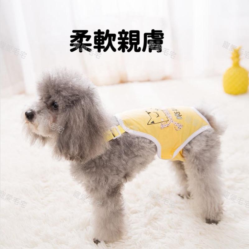 寵愛毛宅 寵物用品 寵物護墊 狗狗生理褲 月經褲 寵物經期護理墊 寵物尿布-細節圖5