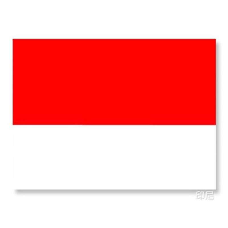 BJ批發 台灣國旗贴纸 各國國旗貼紙3M防水贴纸 行李箱機車汽車貼紙-細節圖2