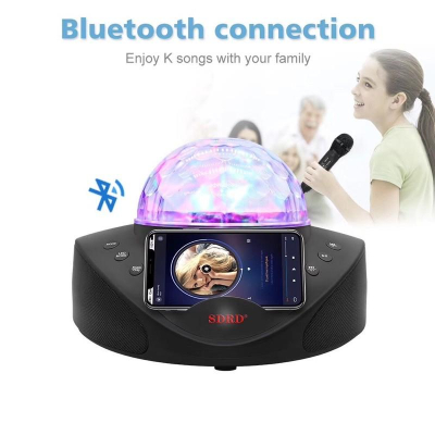 《BJ商城》 新款SD308麥克風家庭式KTV戶外便攜無線直播話筒藍牙音響一體