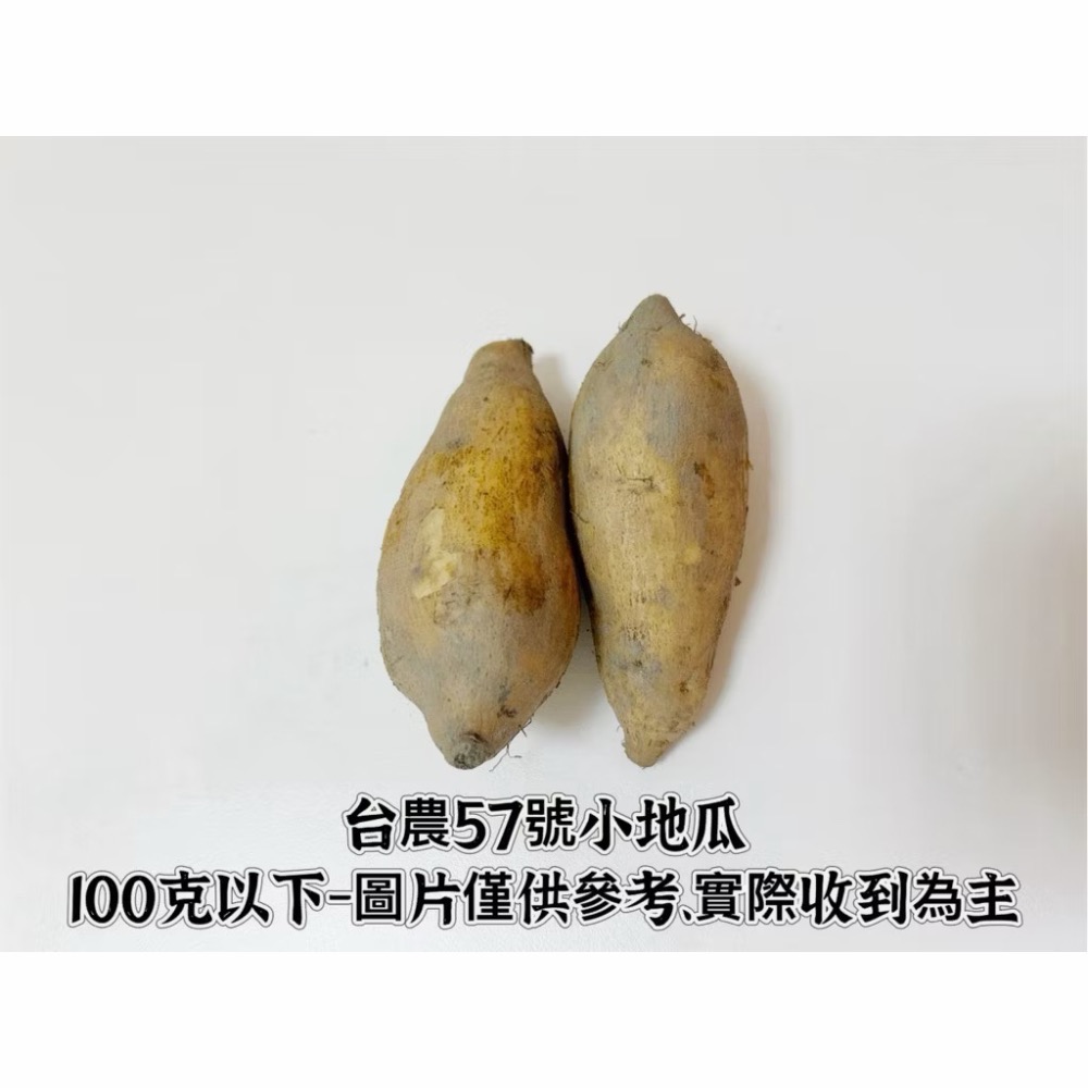【宏潤地瓜】雲林水林😋台農57號黃地瓜SGS無毒檢驗通過✅～綿密好吃👏好碳水-規格圖1