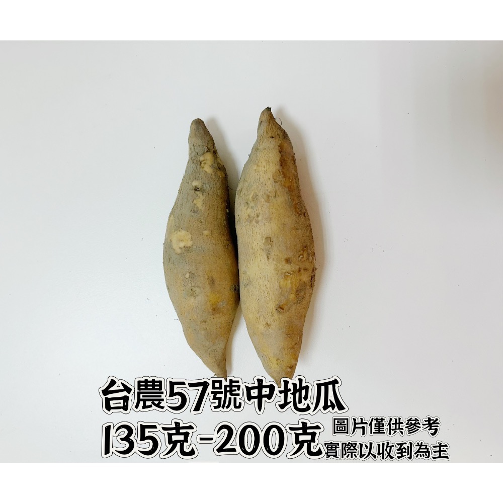 【宏潤地瓜】雲林水林😋台農57號黃地瓜SGS無毒檢驗通過✅～綿密好吃👏好碳水-規格圖1