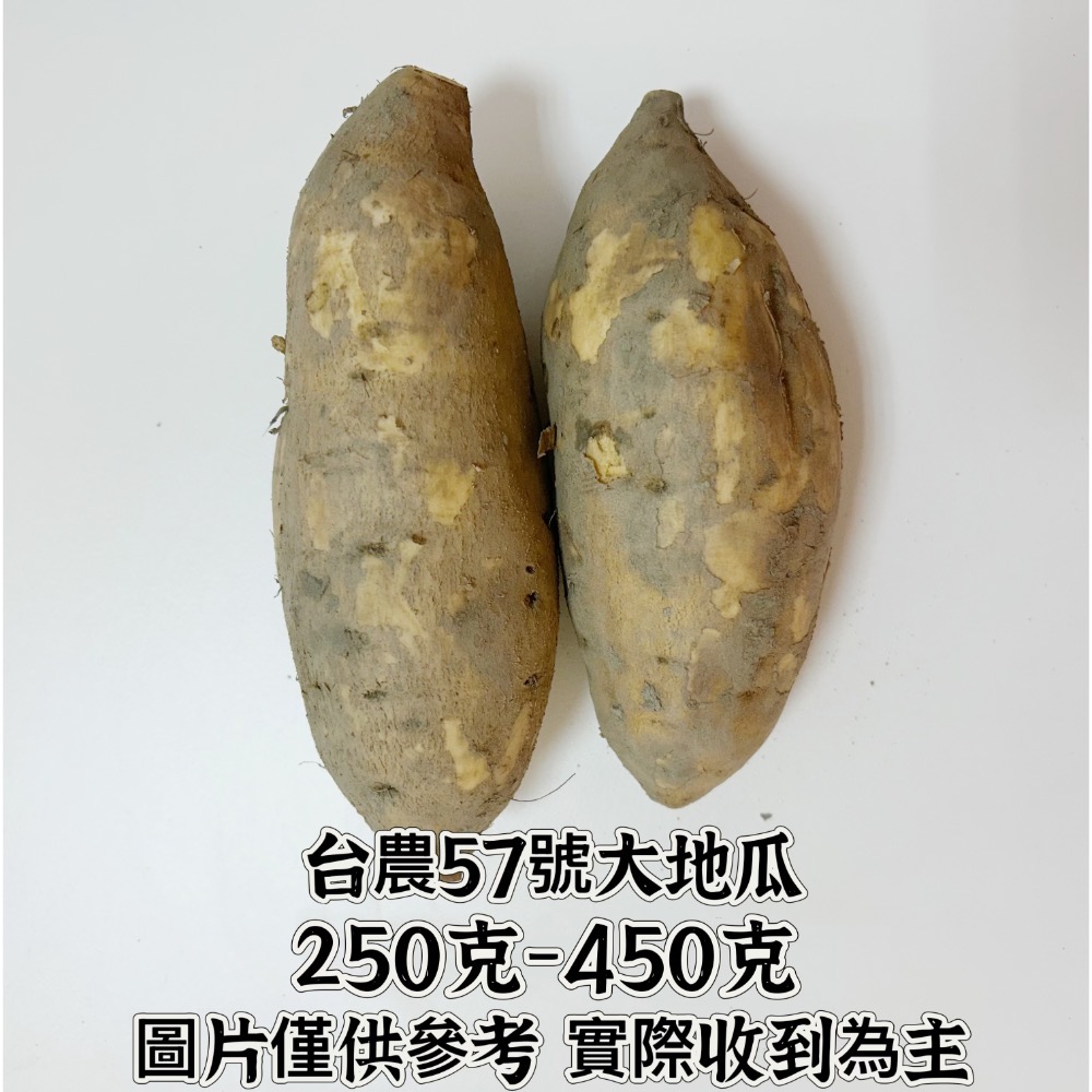 【宏潤地瓜】雲林水林😋台農57號黃地瓜SGS無毒檢驗通過✅～綿密好吃👏好碳水-規格圖1