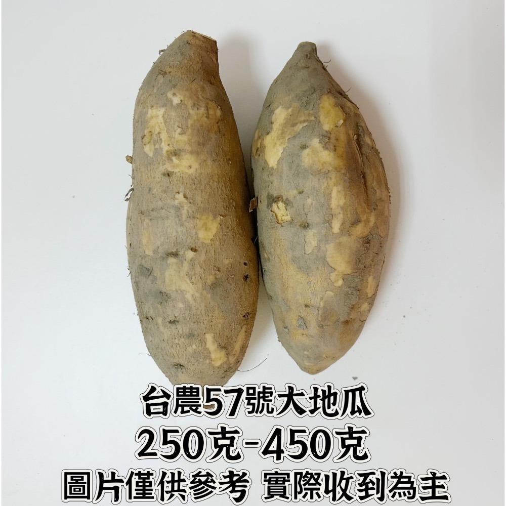 【宏潤地瓜】雲林水林😋台農57號黃地瓜SGS無毒檢驗通過✅～綿密好吃👏好碳水-規格圖1