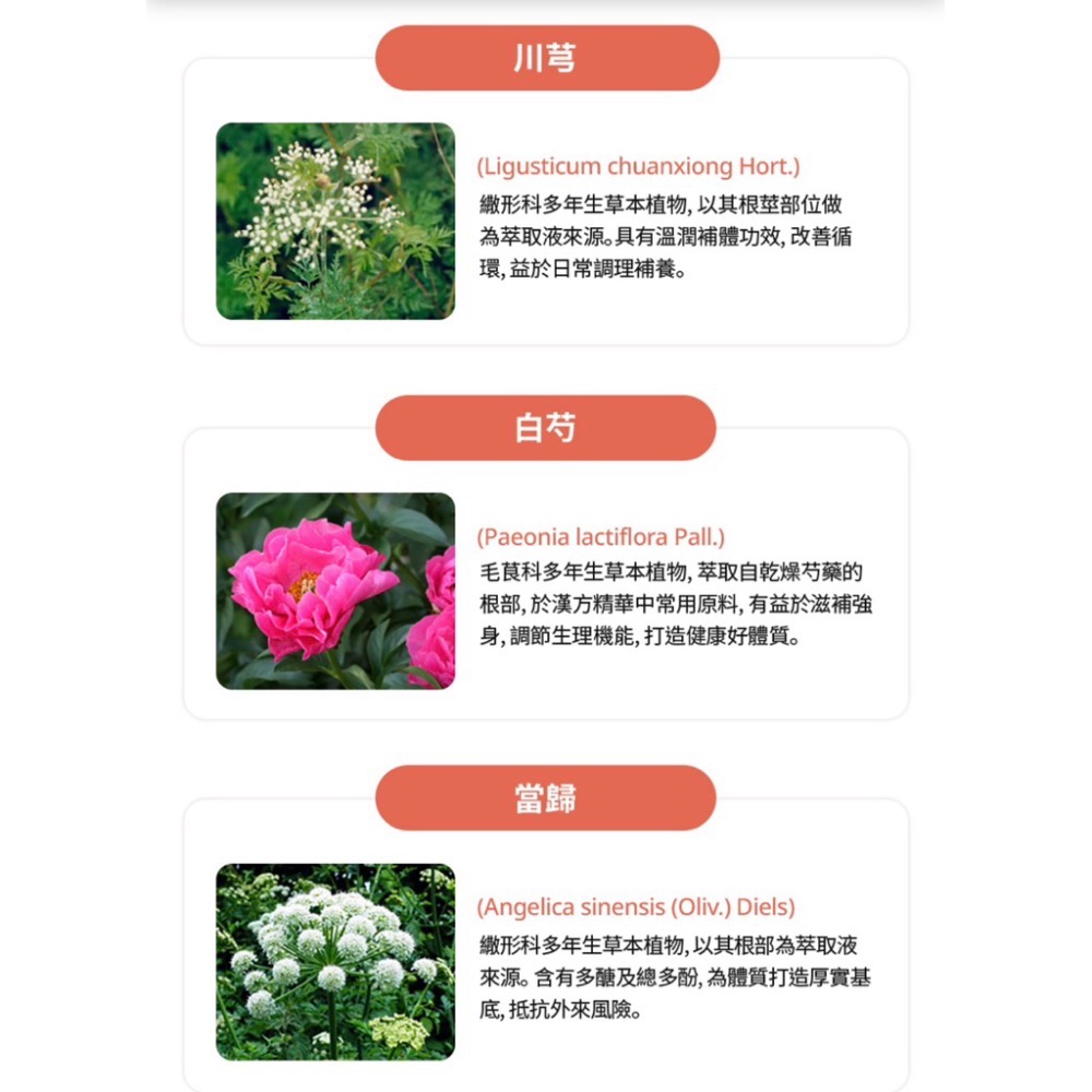 🍃艾多美 ATOMY 煥力飲g 6包一組-細節圖3