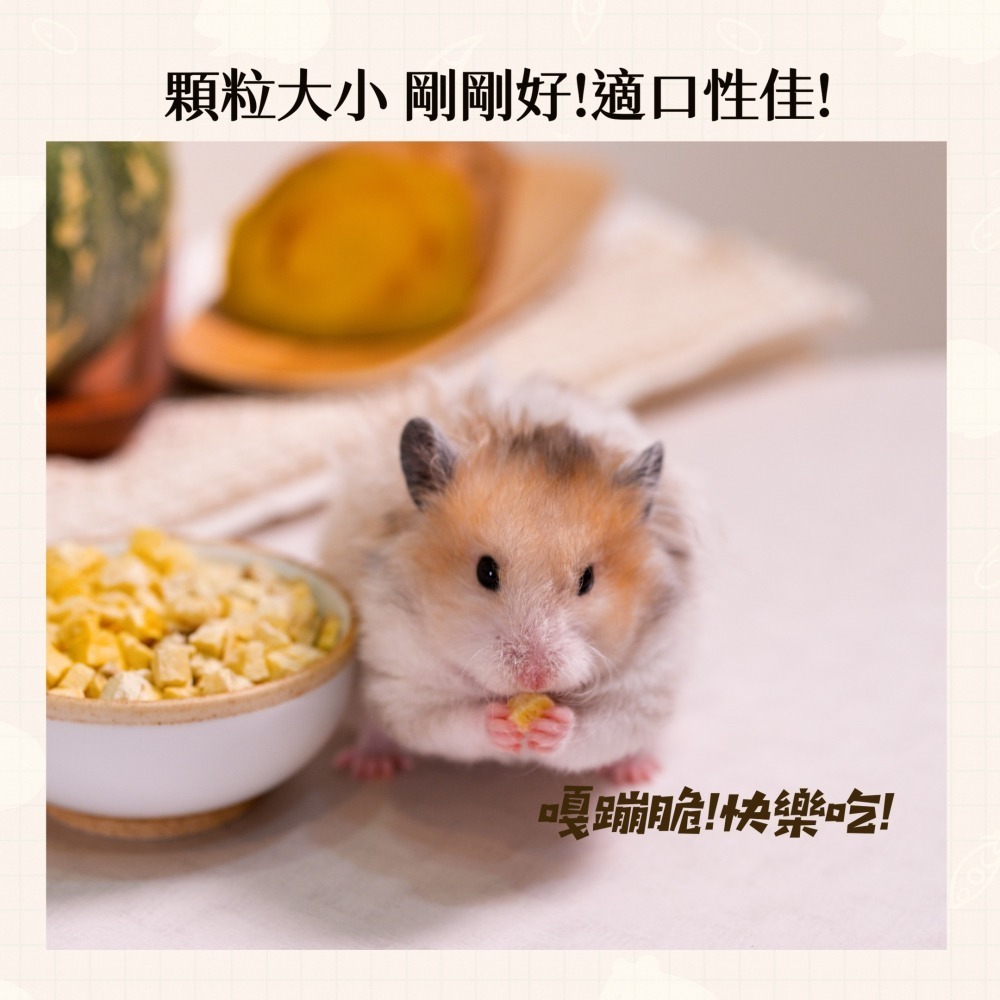 【倉鼠君】雙瓜脆 小寵天然零食無添加 南瓜+地瓜凍乾 倉鼠零食 高級輔食 營養補充 寵物凍乾 互動性優 適口性佳-細節圖4