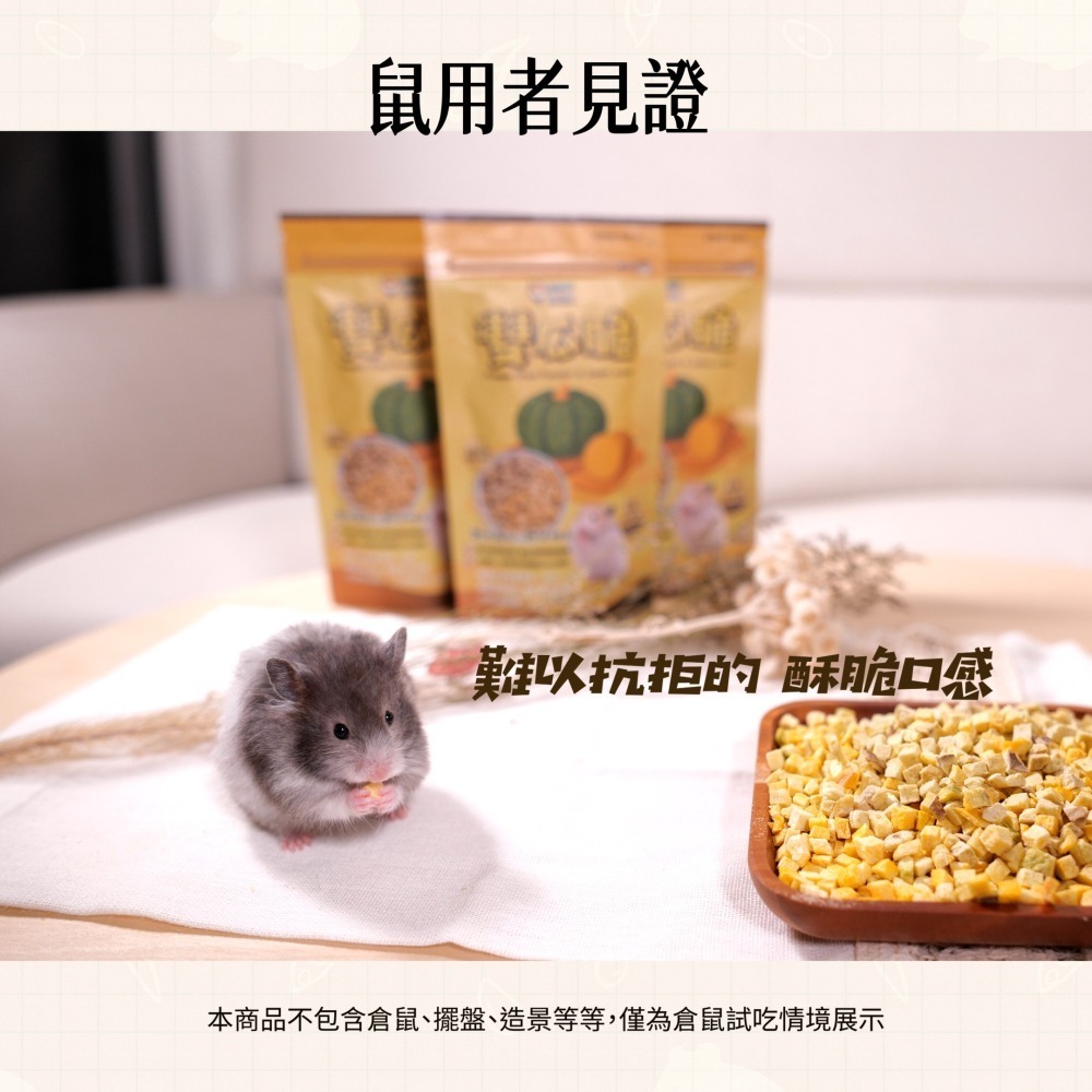【倉鼠君】雙瓜脆 小寵天然零食無添加 南瓜+地瓜凍乾 倉鼠零食 高級輔食 營養補充 寵物凍乾 互動性優 適口性佳-細節圖5