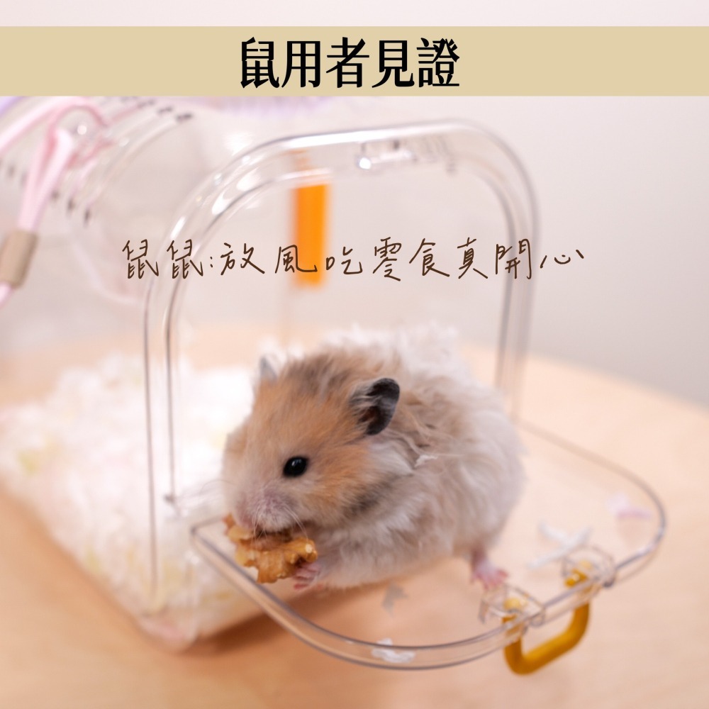 【倉鼠君】Tafit 它適外出籠 現貨不用等 倉鼠外出籠 倉鼠藤盒 外出提籃-細節圖4