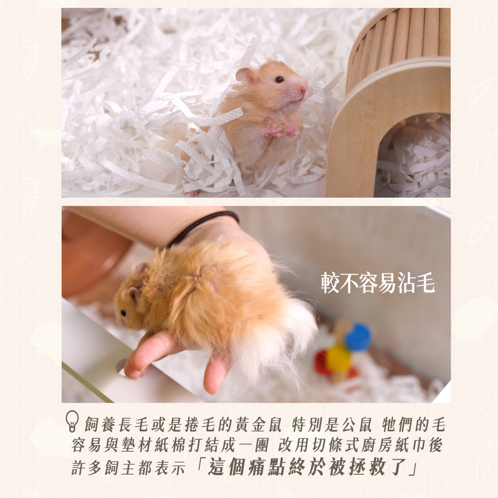 【倉鼠君】倉鼠墊料 倉鼠廚房紙巾 紙巾切條 非得意 100%原生紙漿 極低粉塵 安心使用 11L大包裝 250g-細節圖5