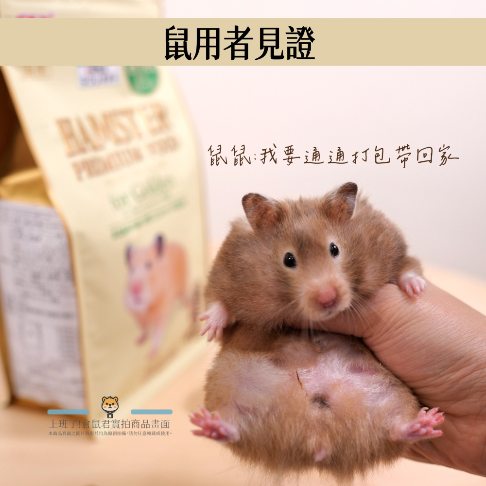 【倉鼠君】GEX 優質蛋白質主糧 50克分裝包-細節圖5