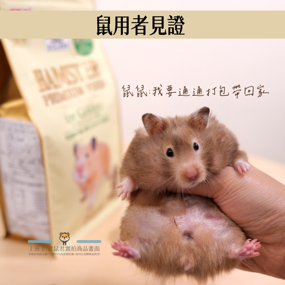 【倉鼠君】GEX 優質蛋白質主糧 50克分裝包-細節圖5