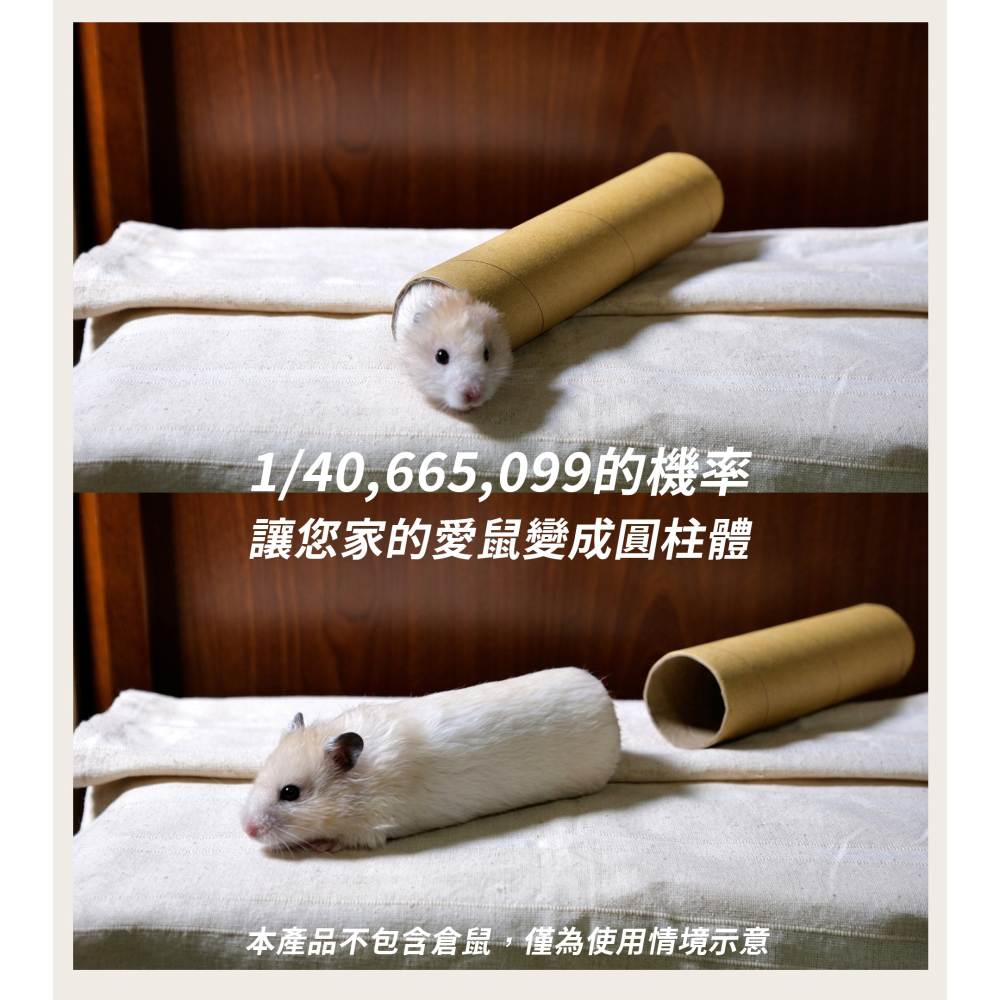 4/1新品上市 倉鼠格列佛隧道 廚房紙巾捲筒 倉鼠隧道可參考-細節圖2