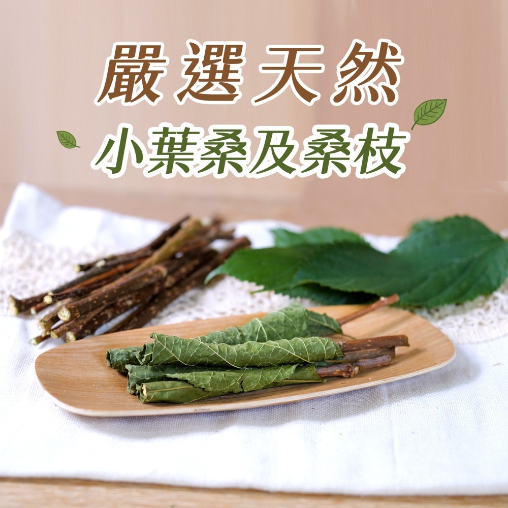【倉鼠君】桑葉捲捲棒 自產自銷 磨牙棒 倉鼠磨牙 天然枝條 磨牙零食 鼠兔磨牙 烘乾桑葉 黃金鼠 侏儒倉鼠 兔子 蜜袋鼯-細節圖2