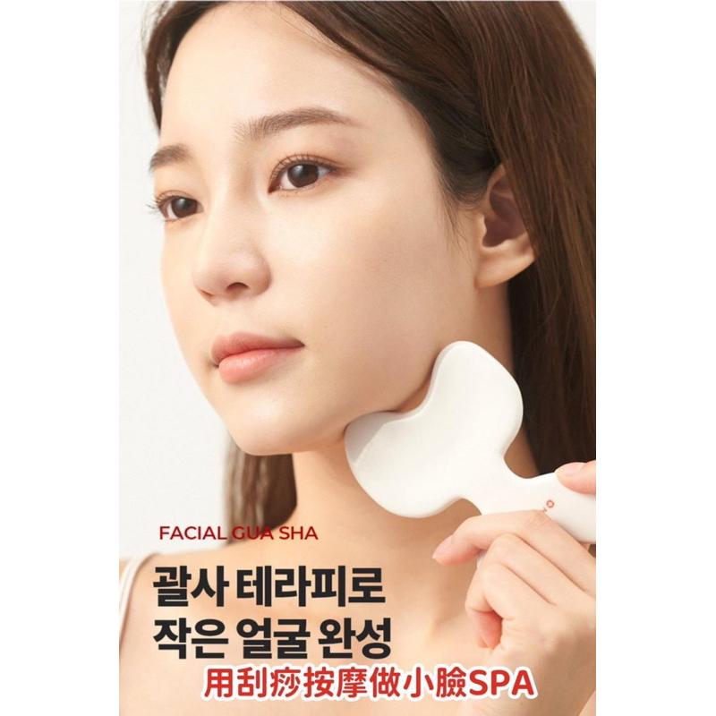 Halo mavis國際連線購入［全新轉賣］瘦臉陶瓷體雕板-細節圖3