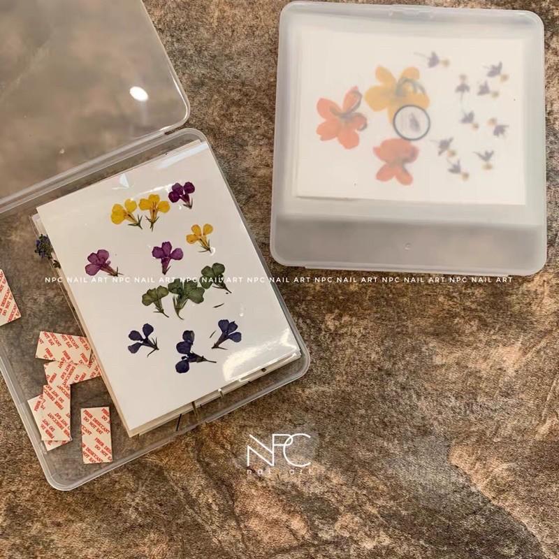 NPC獨家 拯救混亂 實用甲片防塵收納展示 大尺寸半透美甲收納工具 穿戴甲收納-細節圖8