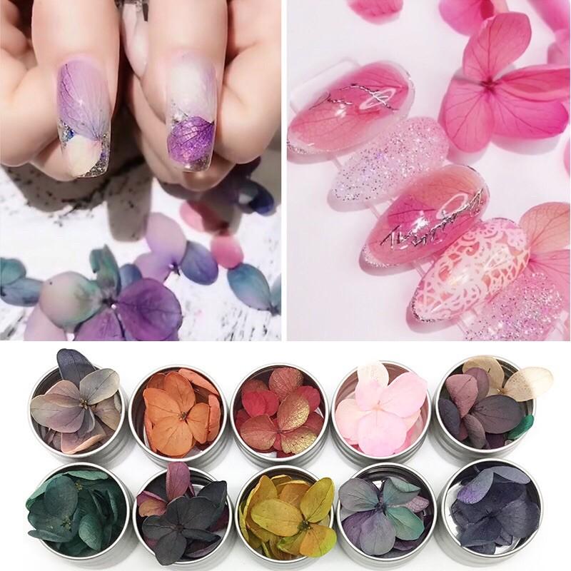 美甲乾燥花瓣永生花指甲裝飾品 DIY日系彩色花瓣指甲貼光療甲-細節圖2