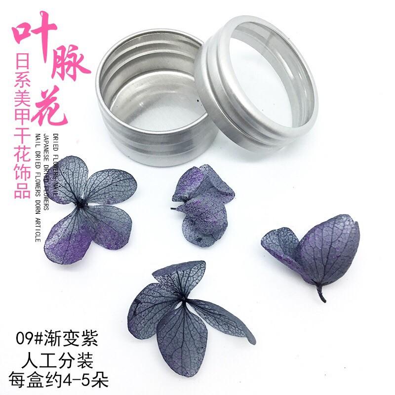 美甲乾燥花瓣永生花指甲裝飾品 DIY日系彩色花瓣指甲貼光療甲-細節圖4