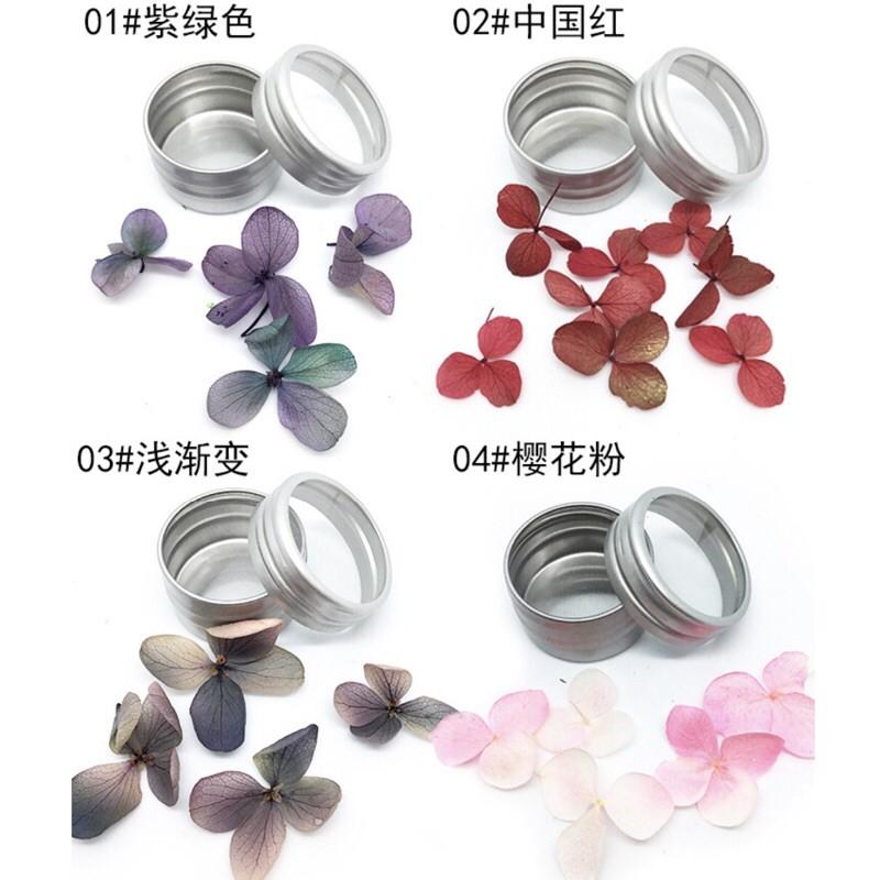 美甲乾燥花瓣永生花指甲裝飾品 DIY日系彩色花瓣指甲貼光療甲-細節圖6