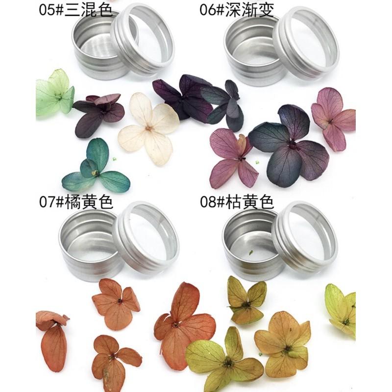 美甲乾燥花瓣永生花指甲裝飾品 DIY日系彩色花瓣指甲貼光療甲-細節圖7