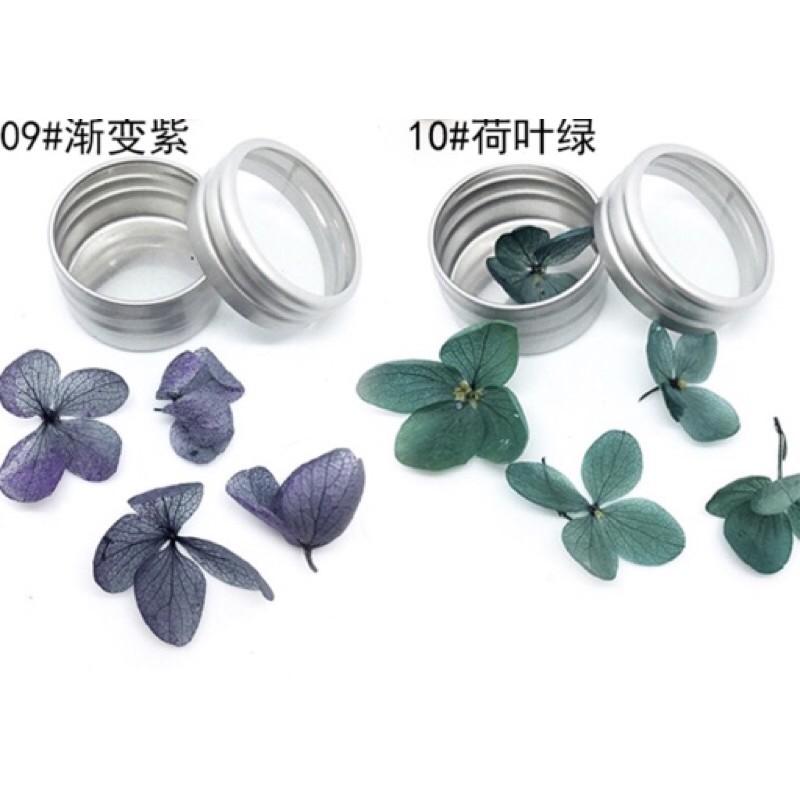 美甲乾燥花瓣永生花指甲裝飾品 DIY日系彩色花瓣指甲貼光療甲-細節圖8