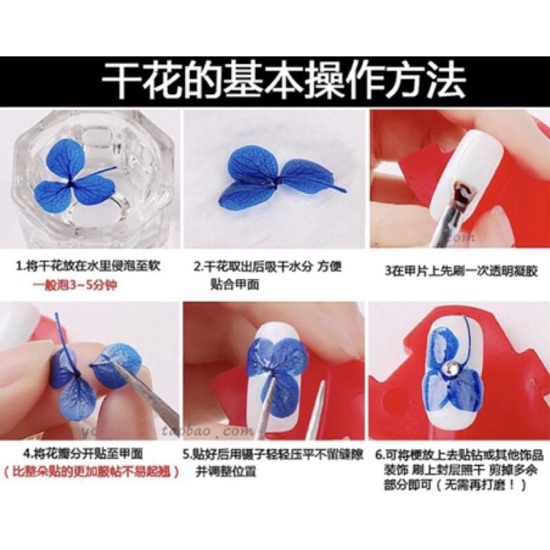 美甲乾燥花瓣永生花指甲裝飾品 DIY日系彩色花瓣指甲貼光療甲-細節圖9