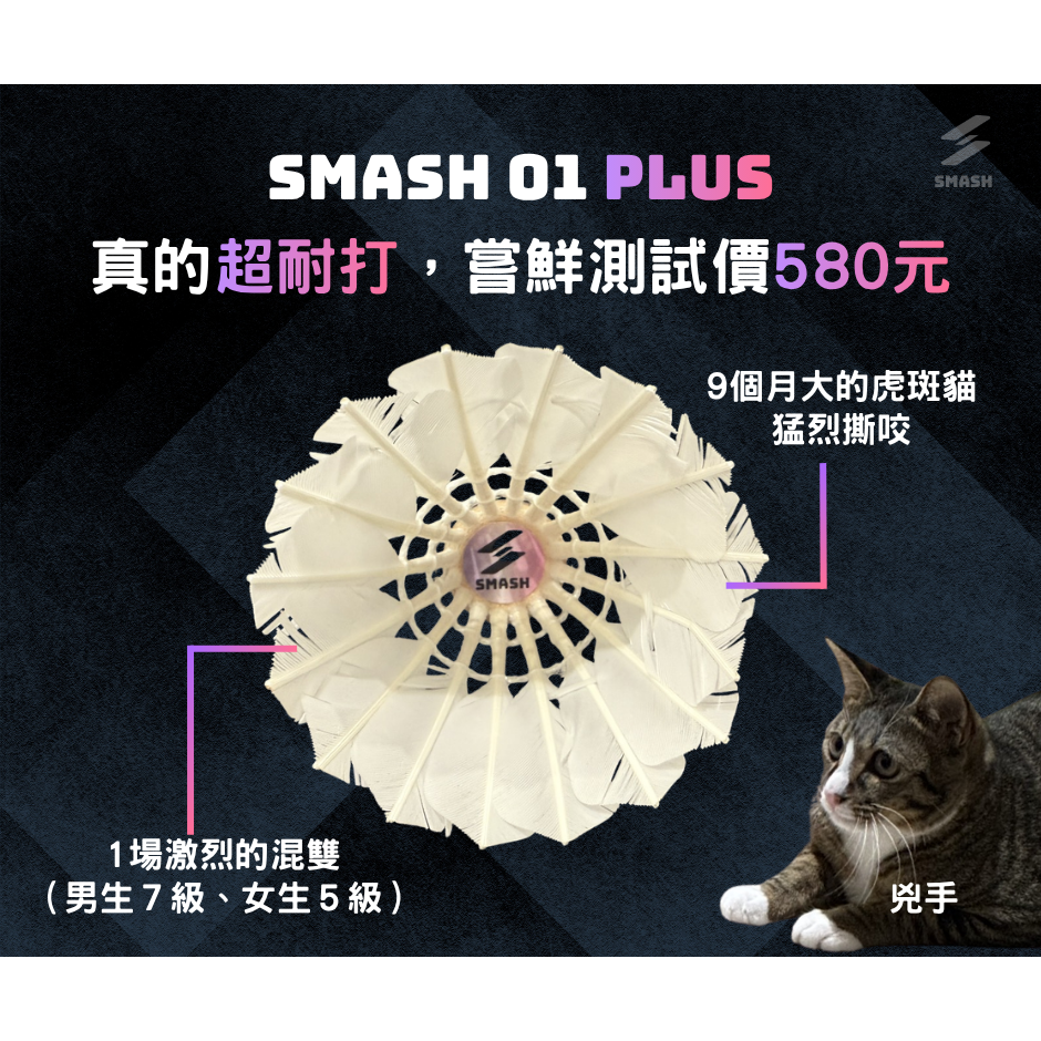 SMASH 01 PLUS 鵝毛羽毛球12顆組-細節圖4