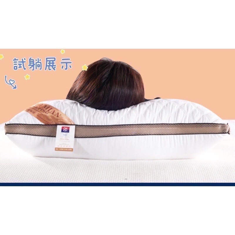 抗菌防蟎7星級飯店枕頭 3D羽絲絨枕頭 飯店枕頭 枕頭-細節圖4