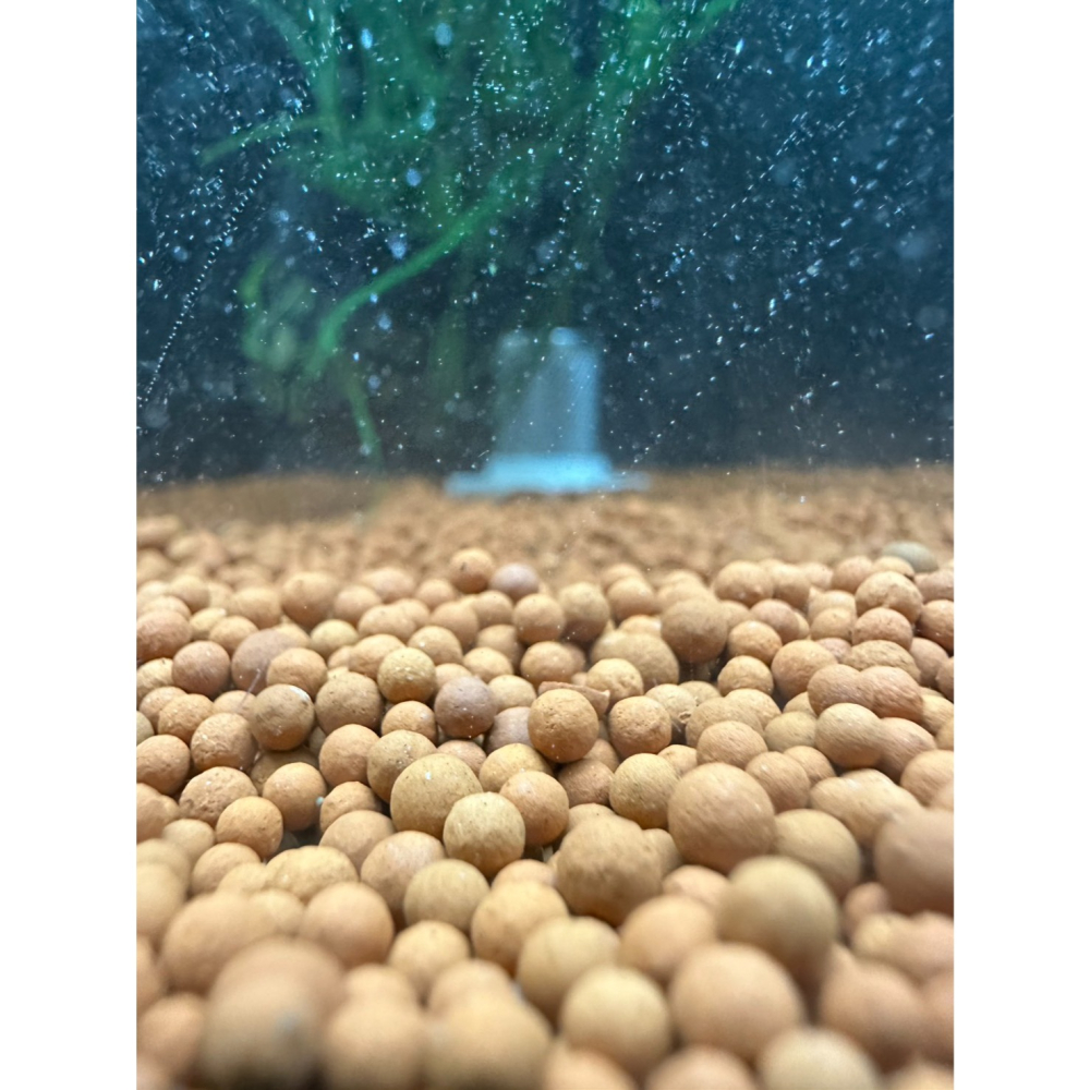 優質免清洗可培菌 陶瓷沙-細節圖3