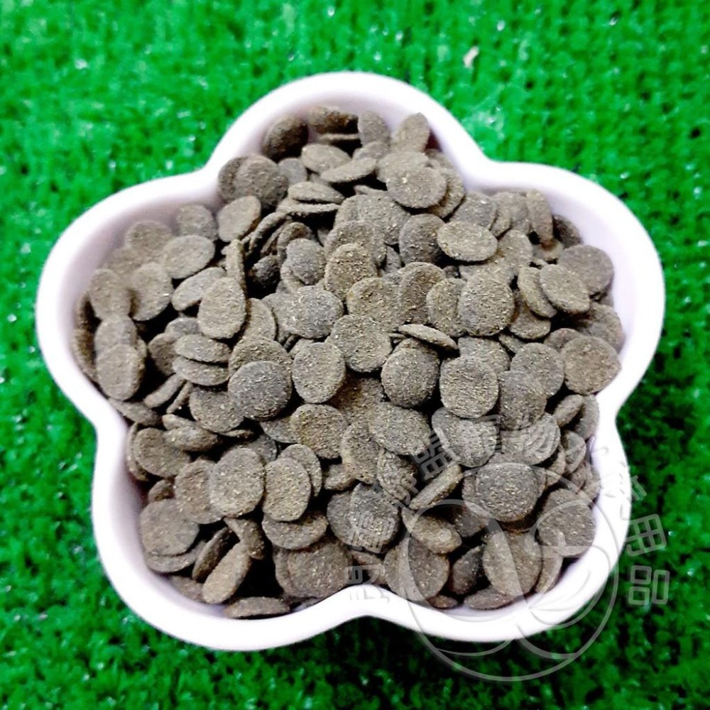 【閃電聯盟】日本 高夠力 Hikari 異型飼料 1KG (小粒/大粒) 沉水性 異型 異形 蝦.鼠魚 底棲 飼料-細節圖4