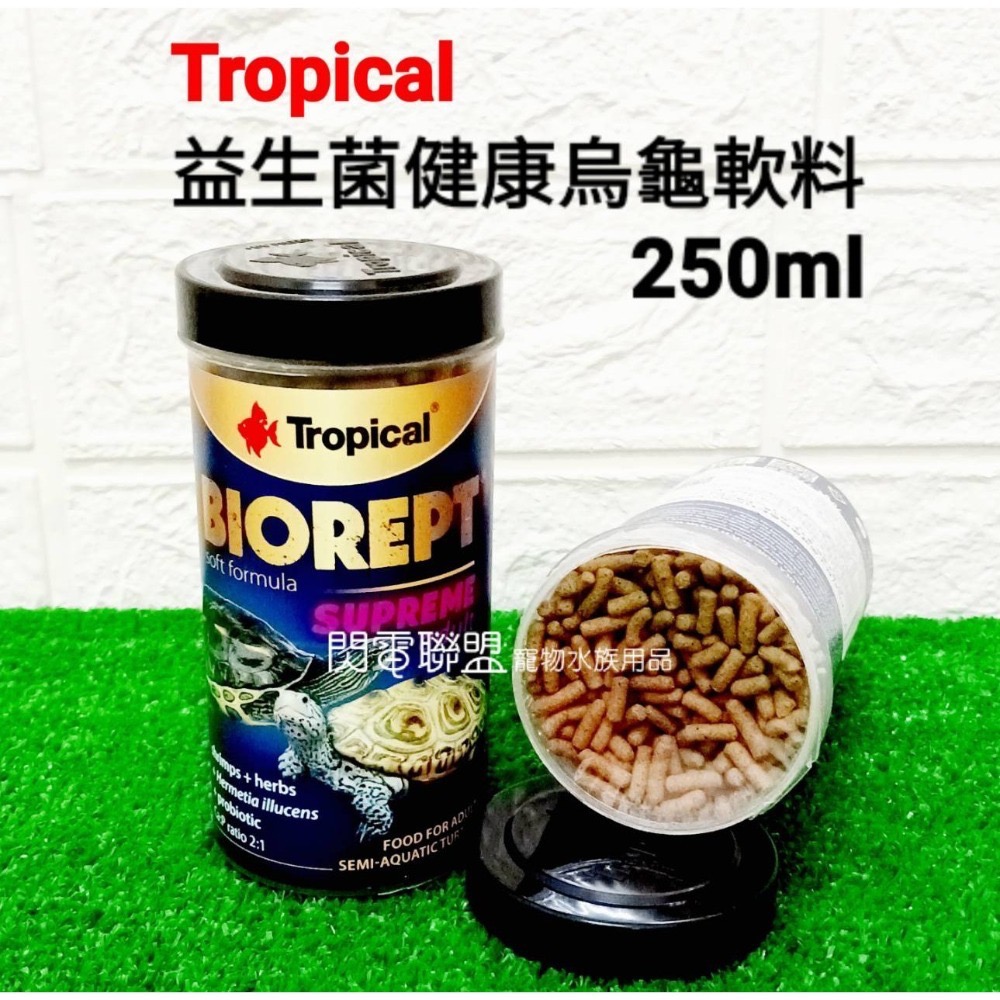 【閃電聯盟】德比克 Tropical 烏龜成長飼料 / 高蛋白乾蝦 / 益生菌健康烏龜軟料 乾燥蝦 乾蝦 烏龜飼料-細節圖2