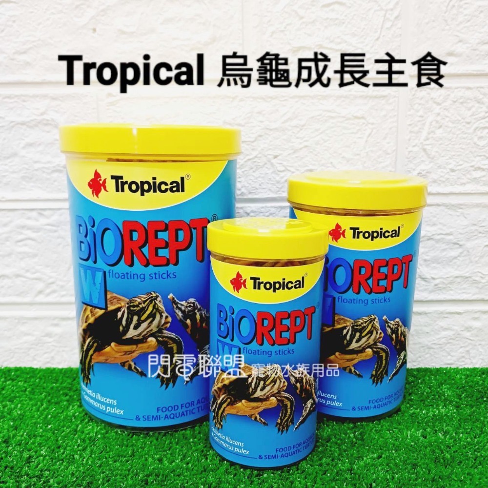 【閃電聯盟】德比克 Tropical 烏龜成長飼料 / 高蛋白乾蝦 / 益生菌健康烏龜軟料 乾燥蝦 乾蝦 烏龜飼料-細節圖3