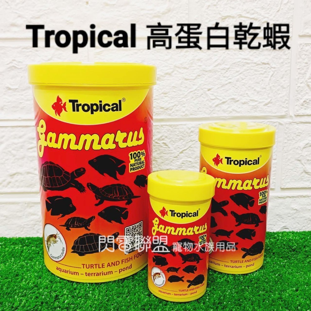 【閃電聯盟】德比克 Tropical 烏龜成長飼料 / 高蛋白乾蝦 / 益生菌健康烏龜軟料 乾燥蝦 乾蝦 烏龜飼料-細節圖4