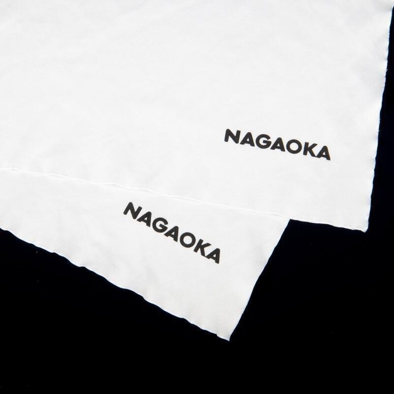 【UP Music】現貨 一包2片 日本長岡 NAGAOKA CLV30黑膠唱片清潔布 擦拭布-細節圖3