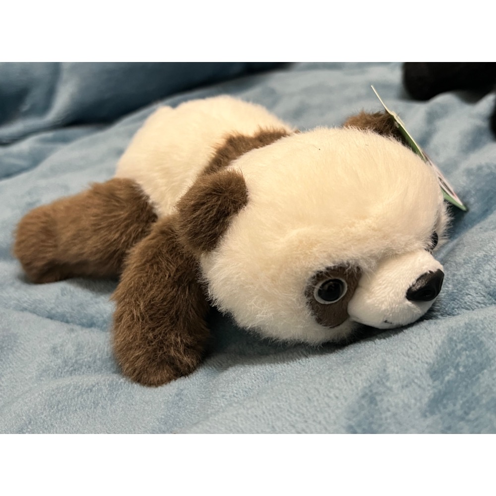成都 天使小小 熊貓 坐姿 趴姿 擬真 奇貨居-細節圖3