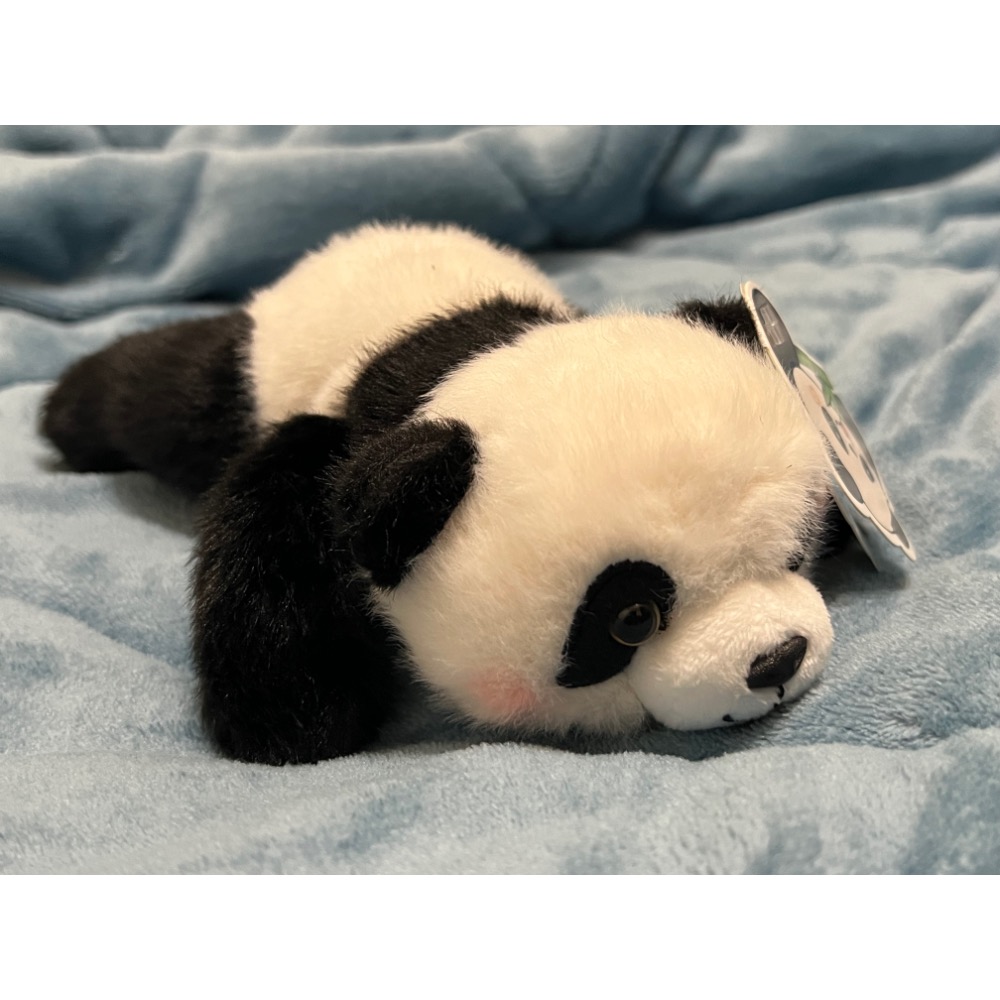 成都 天使小小 熊貓 坐姿 趴姿 擬真 奇貨居-規格圖4