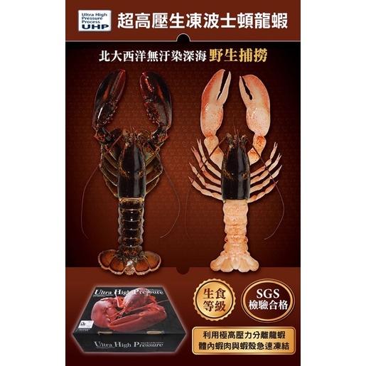 生食級波士頓龍蝦🦞/全館滿額免運-細節圖2