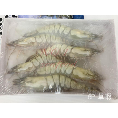 【NO.1】6P草蝦/急速冷凍鮮蝦