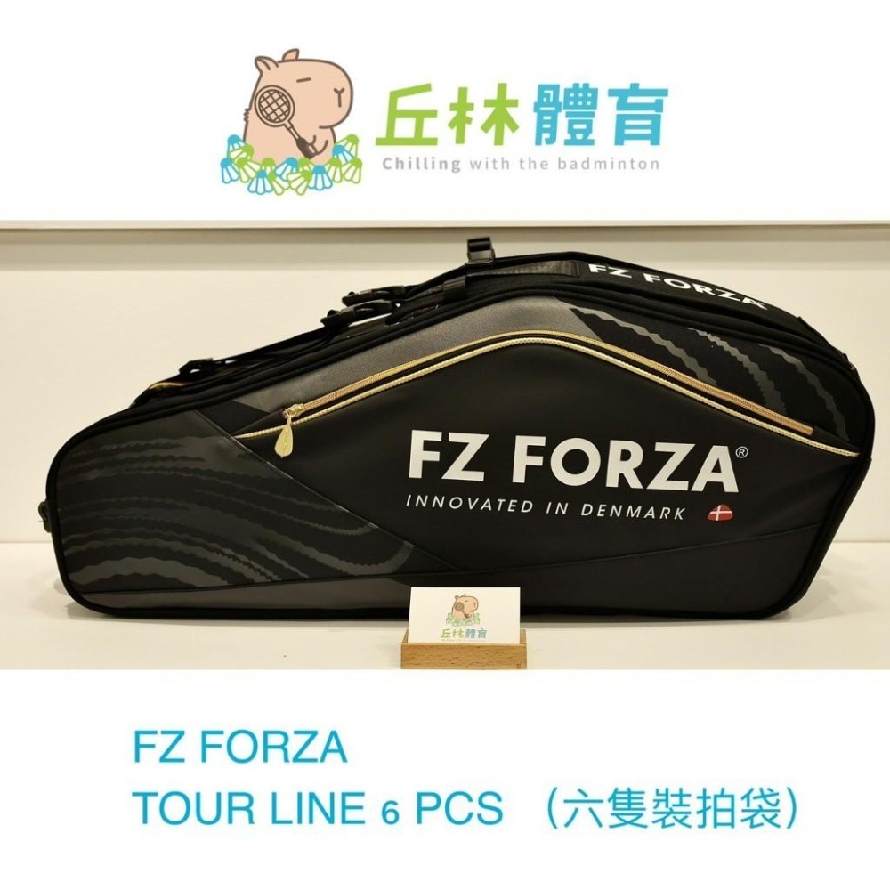 丘林體育Chilling | FZ FROZA羽球拍袋 | Tour Line | 球袋 | 矩形包 | 6支裝 CP值-細節圖3